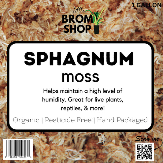 Sphagnum Moss